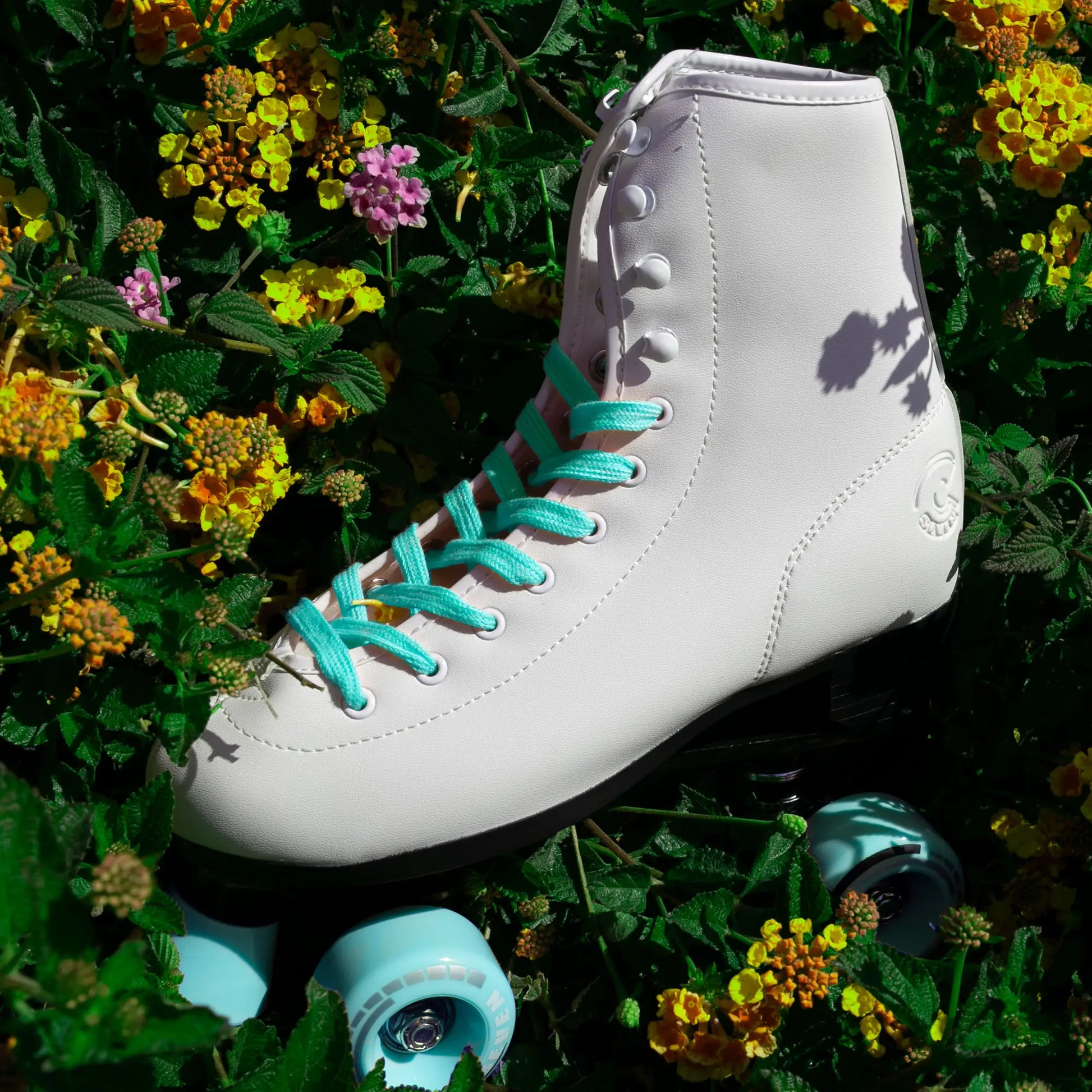White roller skate with turquoise laces on a green leafy background