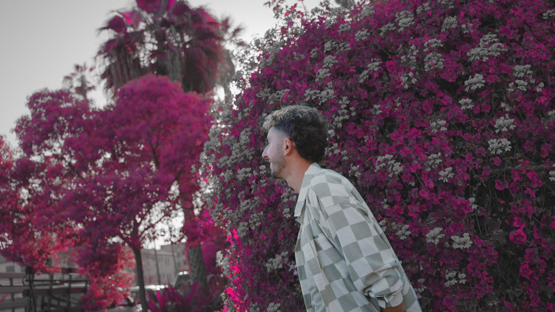 Moon Rose Quad Skates